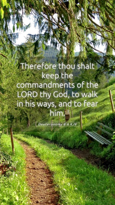 Picture 05 - Deuteronomy 8:6 KJV Mobile Phone Wallpaper - Therefore thou shalt keep the commandments of the - Mobile Bible Verse Wallpaper