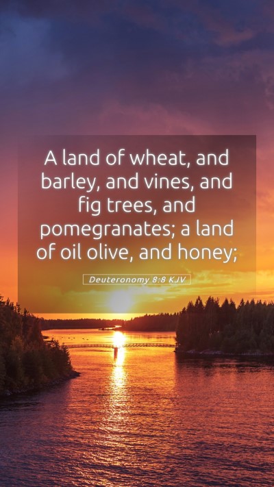 Picture 05 - Deuteronomy 8:8 KJV Mobile Phone Wallpaper - A land of wheat, and barley, and vines, and fig - Mobile Bible Verse Wallpaper