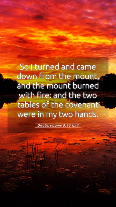 Picture 05 - Deuteronomy 9:15 KJV Mobile Phone Wallpaper - So I turned and came down from the mount, and the - Mobile Bible Verse Wallpaper