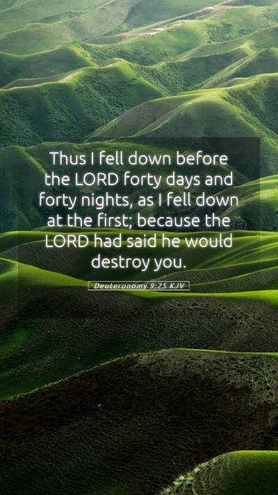 Picture 05 - Deuteronomy 9:25 KJV Mobile Phone Wallpaper - Thus I fell down before the LORD forty days and - Mobile Bible Verse Wallpaper