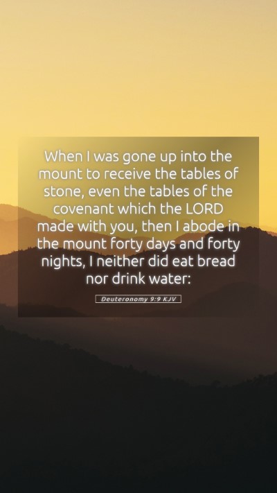 Picture 05 - Deuteronomy 9:9 KJV Mobile Phone Wallpaper - When I was gone up into the mount to receive the - Mobile Bible Verse Wallpaper