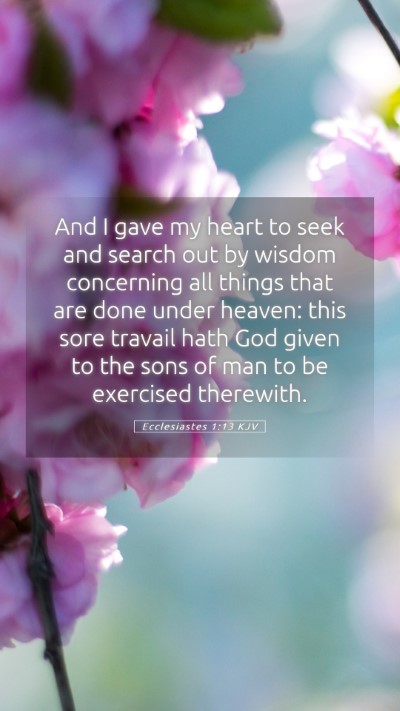 Picture 05 - Ecclesiastes 1:13 KJV Mobile Phone Wallpaper - And I gave my heart to seek and search out by - Mobile Bible Verse Wallpaper