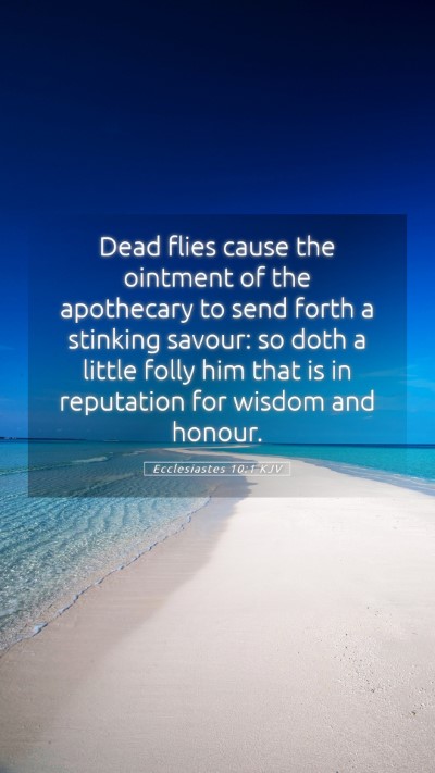 Picture 05 - Ecclesiastes 10:1 KJV Mobile Phone Wallpaper - Dead flies cause the ointment of the apothecary - Mobile Bible Verse Wallpaper