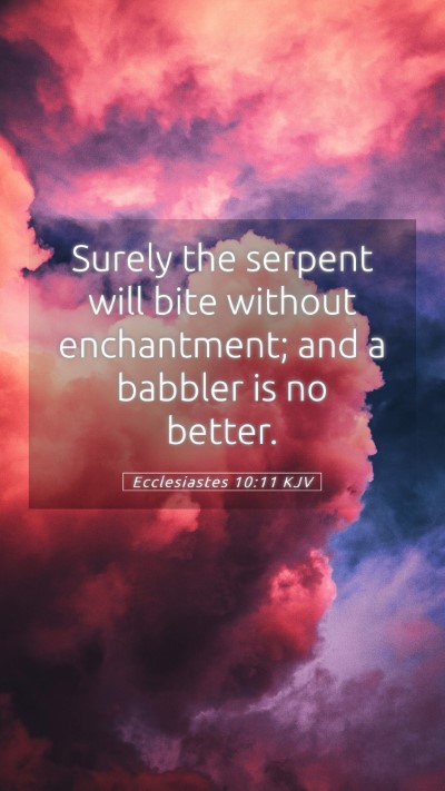 Picture 05 - Ecclesiastes 10:11 KJV Mobile Phone Wallpaper - Surely the serpent will bite without enchantment; - Mobile Bible Verse Wallpaper