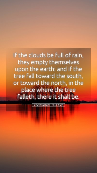 Picture 05 - Ecclesiastes 11:3 KJV Mobile Phone Wallpaper - If the clouds be full of rain, they empty - Mobile Bible Verse Wallpaper