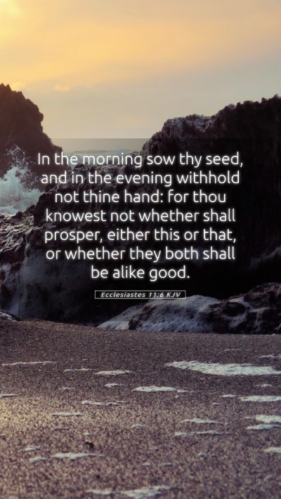 Picture 05 - Ecclesiastes 11:6 KJV Mobile Phone Wallpaper - In the morning sow thy seed, and in the evening - Mobile Bible Verse Wallpaper