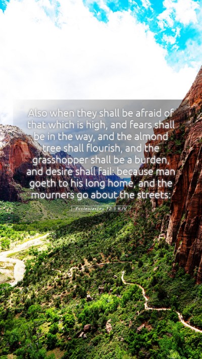 Picture 05 - Ecclesiastes 12:5 KJV Mobile Phone Wallpaper - Also when they shall be afraid of that which is - Mobile Bible Verse Wallpaper