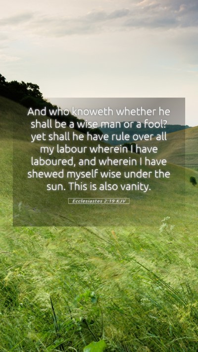 Picture 05 - Ecclesiastes 2:19 KJV Mobile Phone Wallpaper - And who knoweth whether he shall be a wise man or - Mobile Bible Verse Wallpaper