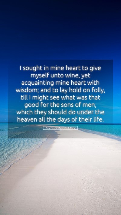 Picture 05 - Ecclesiastes 2:3 KJV Mobile Phone Wallpaper - I sought in mine heart to give myself unto wine, - Mobile Bible Verse Wallpaper