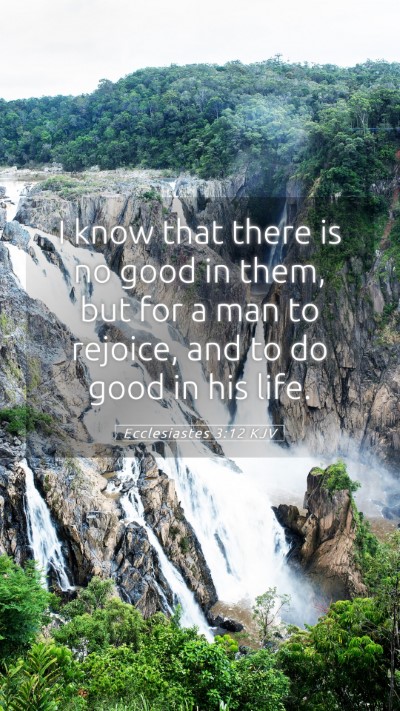 Picture 05 - Ecclesiastes 3:12 KJV Mobile Phone Wallpaper - I know that there is no good in them, but for a - Mobile Bible Verse Wallpaper