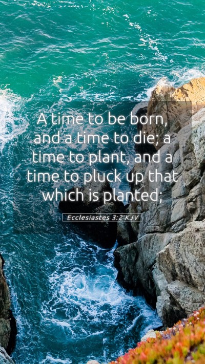Picture 05 - Ecclesiastes 3:2 KJV Mobile Phone Wallpaper - A time to be born, and a time to die; a time to - Mobile Bible Verse Wallpaper