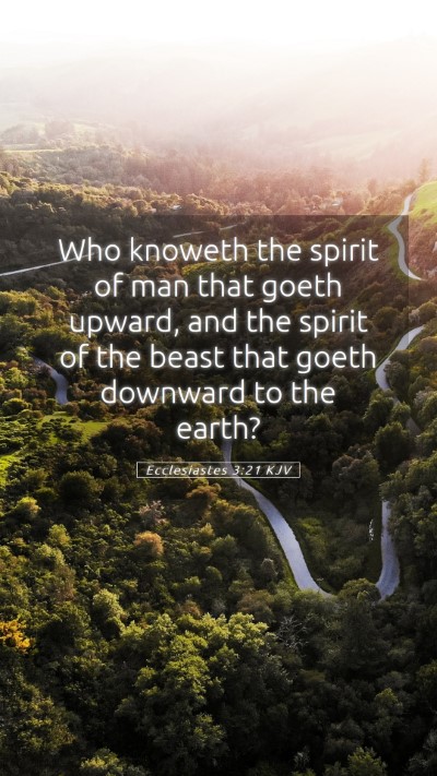 Picture 05 - Ecclesiastes 3:21 KJV Mobile Phone Wallpaper - Who knoweth the spirit of man that goeth upward, - Mobile Bible Verse Wallpaper