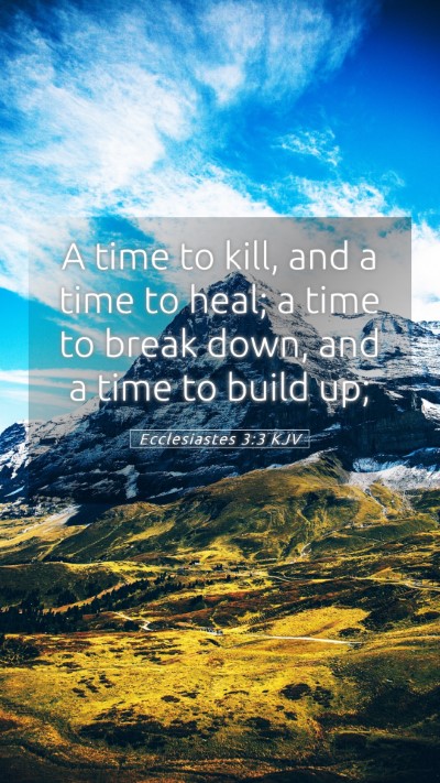 Picture 05 - Ecclesiastes 3:3 KJV Mobile Phone Wallpaper - A time to kill, and a time to heal; a time to - Mobile Bible Verse Wallpaper