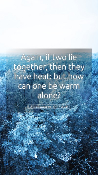 Picture 05 - Ecclesiastes 4:11 KJV Mobile Phone Wallpaper - Again, if two lie together, then they have heat: - Mobile Bible Verse Wallpaper
