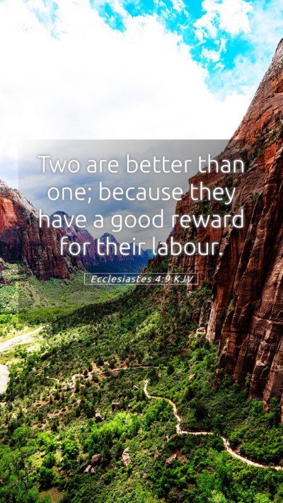Picture 05 - Ecclesiastes 4:9 KJV Mobile Phone Wallpaper - Two are better than one; because they have a good - Mobile Bible Verse Wallpaper