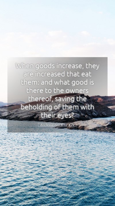 Picture 05 - Ecclesiastes 5:11 KJV Mobile Phone Wallpaper - When goods increase, they are increased that eat - Mobile Bible Verse Wallpaper