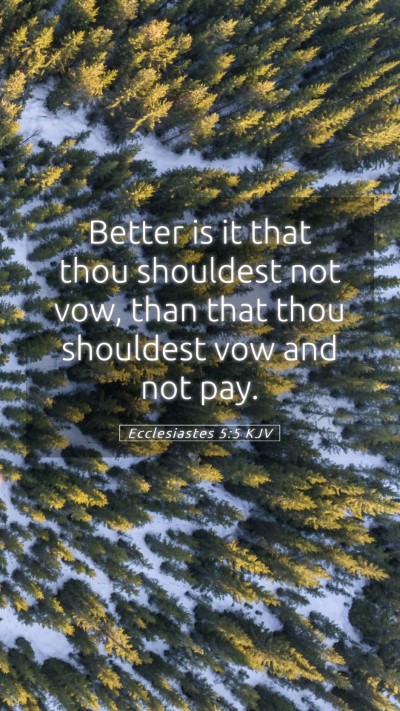 Picture 05 - Ecclesiastes 5:5 KJV Mobile Phone Wallpaper - Better is it that thou shouldest not vow, than - Mobile Bible Verse Wallpaper