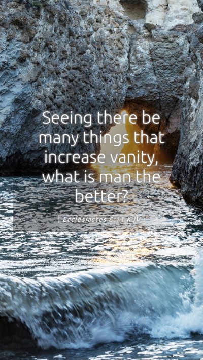 Picture 05 - Ecclesiastes 6:11 KJV Mobile Phone Wallpaper - Seeing there be many things that increase vanity, - Mobile Bible Verse Wallpaper