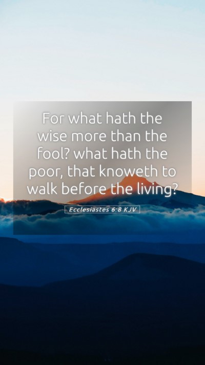 Picture 05 - Ecclesiastes 6:8 KJV Mobile Phone Wallpaper - For what hath the wise more than the fool? what - Mobile Bible Verse Wallpaper