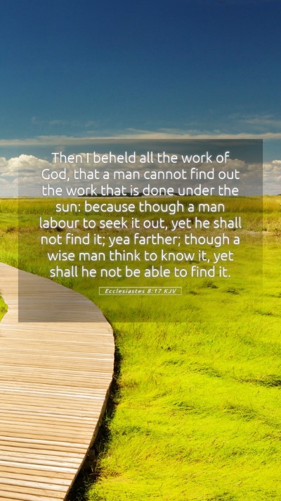 Picture 05 - Ecclesiastes 8:17 KJV Mobile Phone Wallpaper - Then I beheld all the work of God, that a man - Mobile Bible Verse Wallpaper