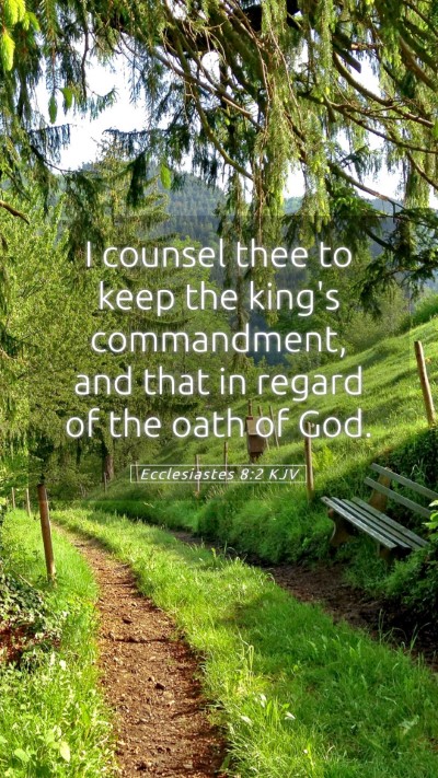 Picture 05 - Ecclesiastes 8:2 KJV Mobile Phone Wallpaper - I counsel thee to keep the king's commandment, - Mobile Bible Verse Wallpaper