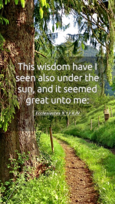 Picture 05 - Ecclesiastes 9:13 KJV Mobile Phone Wallpaper - This wisdom have I seen also under the sun, and - Mobile Bible Verse Wallpaper