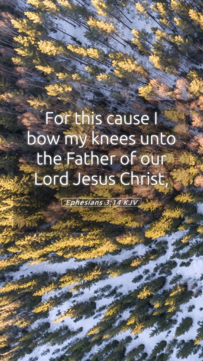 Picture 05 - Ephesians 3:14 KJV Mobile Phone Wallpaper - For this cause I bow my knees unto the Father of - Mobile Bible Verse Wallpaper