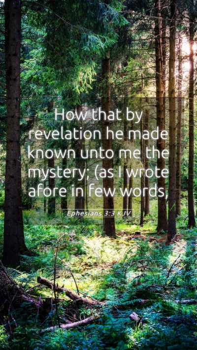 Picture 05 - Ephesians 3:3 KJV Mobile Phone Wallpaper - How that by revelation he made known unto me the - Mobile Bible Verse Wallpaper
