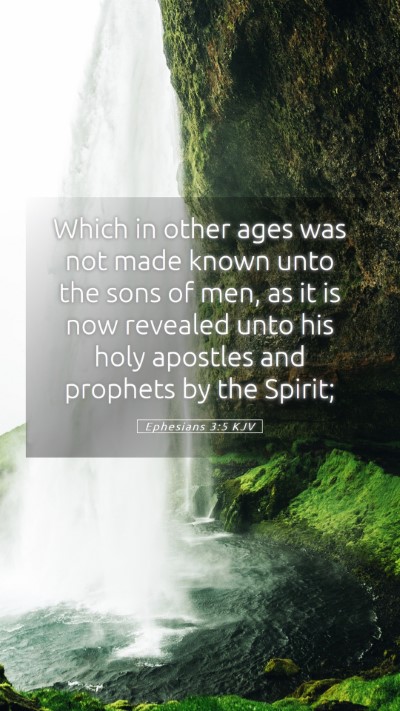 Picture 05 - Ephesians 3:5 KJV Mobile Phone Wallpaper - Which in other ages was not made known unto the - Mobile Bible Verse Wallpaper