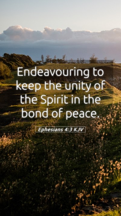 Picture 05 - Ephesians 4:3 KJV Mobile Phone Wallpaper - Endeavouring to keep the unity of the Spirit in - Mobile Bible Verse Wallpaper