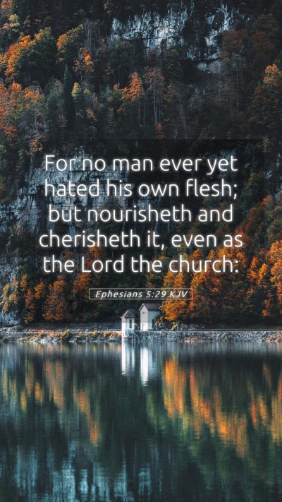 Picture 05 - Ephesians 5:29 KJV Mobile Phone Wallpaper - For no man ever yet hated his own flesh; but - Mobile Bible Verse Wallpaper