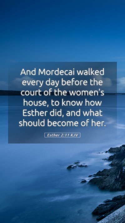 Picture 05 - Esther 2:11 KJV Mobile Phone Wallpaper - And Mordecai walked every day before the court of - Mobile Bible Verse Wallpaper