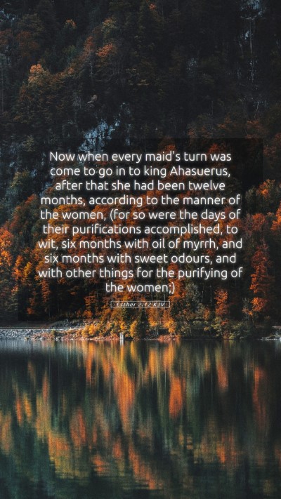 Picture 05 - Esther 2:12 KJV Mobile Phone Wallpaper - Now when every maid's turn was come to go in to - Mobile Bible Verse Wallpaper