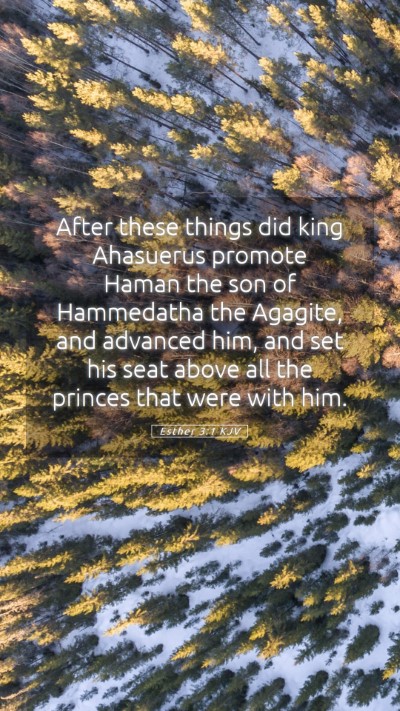 Picture 05 - Esther 3:1 KJV Mobile Phone Wallpaper - After these things did king Ahasuerus promote - Mobile Bible Verse Wallpaper