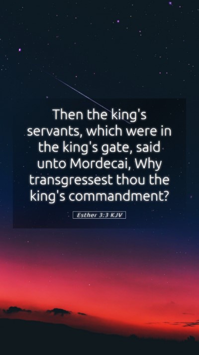 Picture 05 - Esther 3:3 KJV Mobile Phone Wallpaper - Then the king's servants, which were in the - Mobile Bible Verse Wallpaper