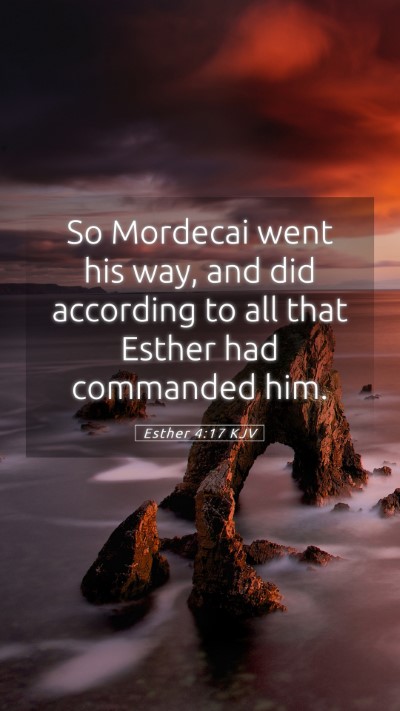 Picture 05 - Esther 4:17 KJV Mobile Phone Wallpaper - So Mordecai went his way, and did according to - Mobile Bible Verse Wallpaper