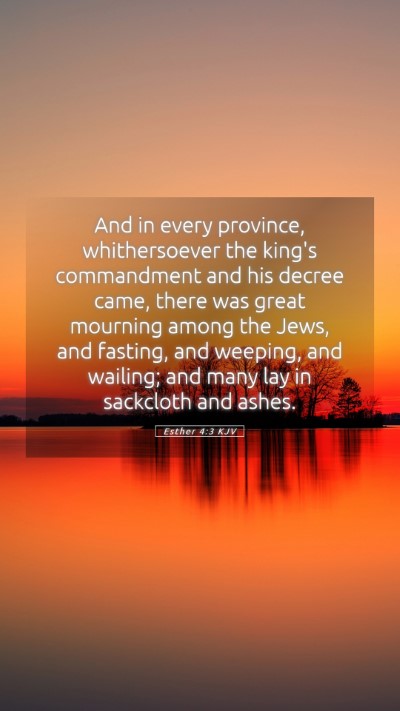 Picture 05 - Esther 4:3 KJV Mobile Phone Wallpaper - And in every province, whithersoever the king's - Mobile Bible Verse Wallpaper