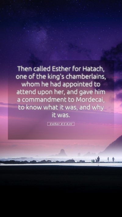 Picture 05 - Esther 4:5 KJV Mobile Phone Wallpaper - Then called Esther for Hatach, one of the king's - Mobile Bible Verse Wallpaper