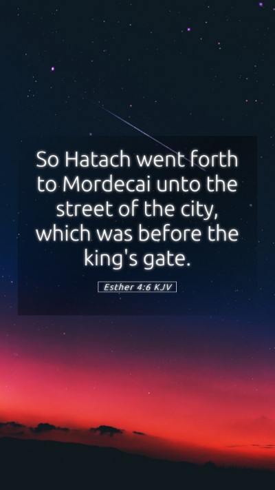 Picture 05 - Esther 4:6 KJV Mobile Phone Wallpaper - So Hatach went forth to Mordecai unto the street - Mobile Bible Verse Wallpaper