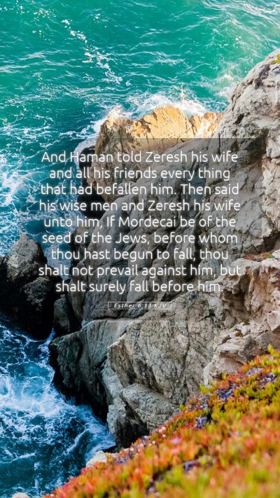 Picture 05 - Esther 6:13 KJV Mobile Phone Wallpaper - And Haman told Zeresh his wife and all his - Mobile Bible Verse Wallpaper