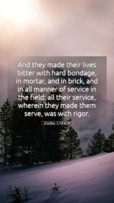 Picture 05 - Exodus 1:14 KJV Mobile Phone Wallpaper - And they made their lives bitter with hard - Mobile Bible Verse Wallpaper