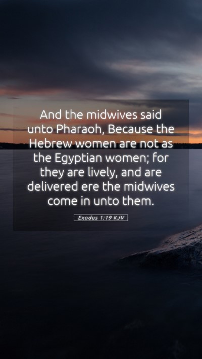 Picture 05 - Exodus 1:19 KJV Mobile Phone Wallpaper - And the midwives said unto Pharaoh, Because the - Mobile Bible Verse Wallpaper