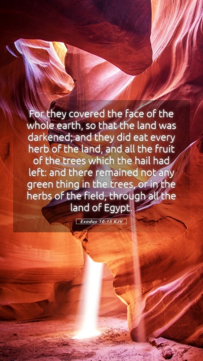 Picture 05 - Exodus 10:15 KJV Mobile Phone Wallpaper - For they covered the face of the whole earth, so - Mobile Bible Verse Wallpaper