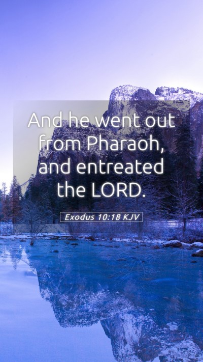 Picture 05 - Exodus 10:18 KJV Mobile Phone Wallpaper - And he went out from Pharaoh, and entreated the - Mobile Bible Verse Wallpaper