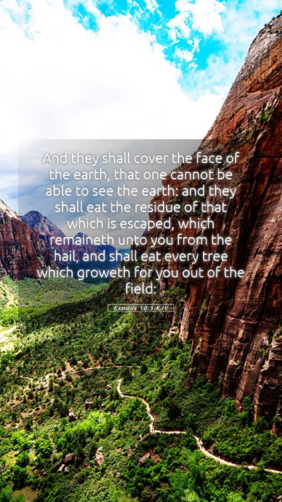 Picture 05 - Exodus 10:5 KJV Mobile Phone Wallpaper - And they shall cover the face of the earth, that - Mobile Bible Verse Wallpaper