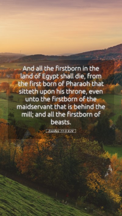Picture 05 - Exodus 11:5 KJV Mobile Phone Wallpaper - And all the firstborn in the land of Egypt shall - Mobile Bible Verse Wallpaper