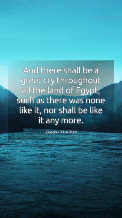 Picture 05 - Exodus 11:6 KJV Mobile Phone Wallpaper - And there shall be a great cry throughout all the - Mobile Bible Verse Wallpaper