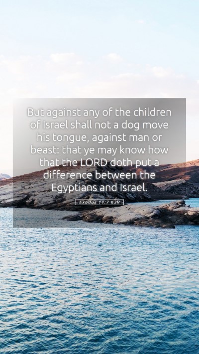Picture 05 - Exodus 11:7 KJV Mobile Phone Wallpaper - But against any of the children of Israel shall - Mobile Bible Verse Wallpaper