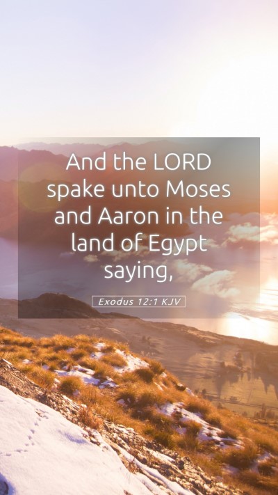 Picture 05 - Exodus 12:1 KJV Mobile Phone Wallpaper - And the LORD spake unto Moses and Aaron in the - Mobile Bible Verse Wallpaper