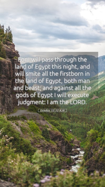 Picture 05 - Exodus 12:12 KJV Mobile Phone Wallpaper - For I will pass through the land of Egypt this - Mobile Bible Verse Wallpaper